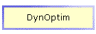 DynOptim